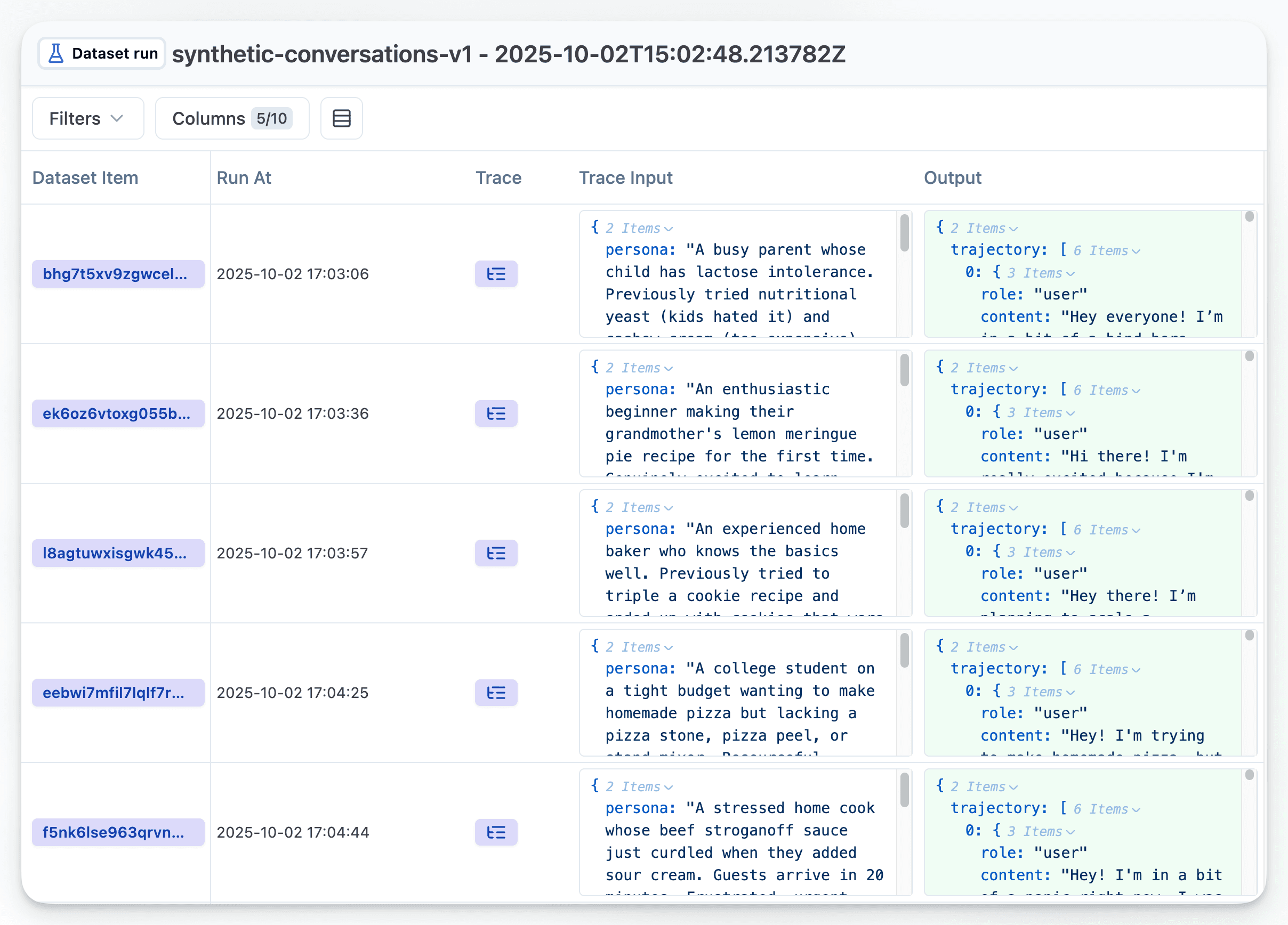 Dataset Runs
